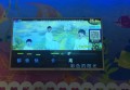 销售酒的谈判技巧有哪些（酒类销售中的独特谈判策略与艺术）