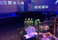 丹泉酒销售话术模板图片（丹泉酒销售沟通策略与话术示例图解）