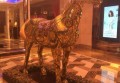 杭州茉莉花酒店ktv消费水平（杭州茉莉花酒店KTV：探索不同客层的娱乐消费新趋势）